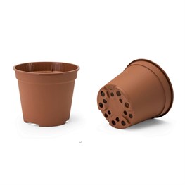 VASO FAST COTTO D. 12  LT.0,75